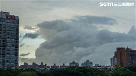 東北季風/秋天(記者陳弋攝影)