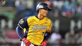 杜家明在兄弟例行賽最終戰敲出自己一軍生涯首轟。（圖／中信兄弟提供）