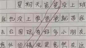 小朋友的創意作文（圖／翻攝自搜狐網）