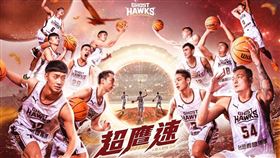 臺南台鋼獵鷹隊公布新球季主視覺。(圖／台鋼獵鷹提供)