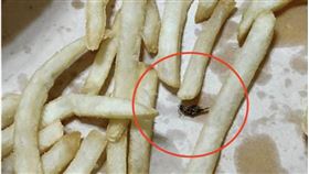 速食店驚見「嘎嘣脆」薯條！他愣：只剩頭