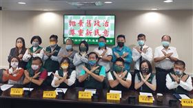 台南市議會副議長改選出爐　民進黨回應了（圖／民進黨提供）