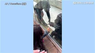 黑猩猩跟美女玩親親　老婆出現他狂擦印記