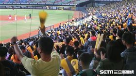 中職首場季後挑戰賽由中信兄弟在洲際球場迎戰味全龍。（圖／記者蔡厚瑄攝影）