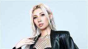 Karencici/文化部影視及流行音樂產業局、必應創造提供