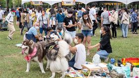 毛孩秋日野餐趣（業配勿用）