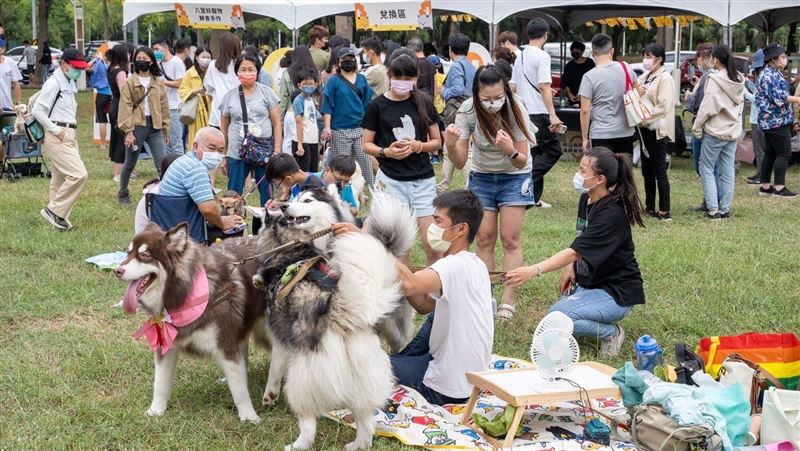 毛孩秋日野餐趣！近百隻毛孩齊聚同樂