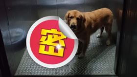  外送員送餐「客人指定放電梯」！開門見神奇畫面愣：我搭下一班。（圖／翻攝自外送員的奇聞怪事）