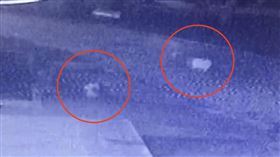 半夜遛狗遇怪男！永和男泣：他打死我的狗