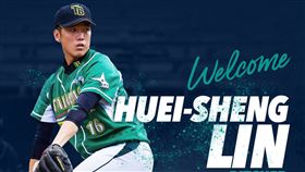 ▲前旅美投手林暉盛加盟澳職奧克蘭喙頭蜥。（圖／翻攝自奧克蘭喙頭蜥推特）