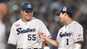 ▲山田哲人（右）與村上宗隆是養樂多雙砲。（資料照／取自東京養樂多燕子FB）