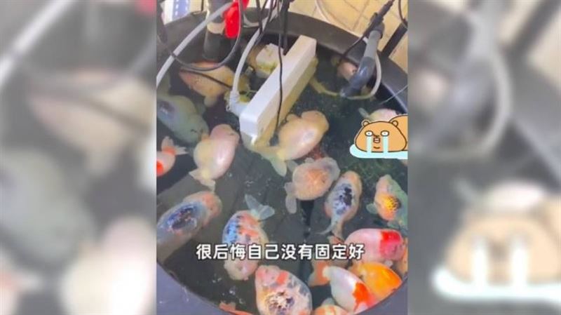 延長插座意外「奪26命」　恐怖畫面曝光