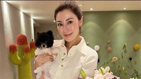 李嘉欣,泳衣,火辣,限時福利／michele_monique_reis