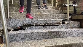 地裂樓梯歪1200
