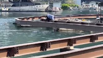 明潭打造水上自行車　「水路」登場時間曝