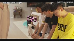 ▼▲連家裡的狗狗都訓練聽話。（圖／咯咯商會(낄낄상회) 授權）