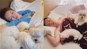 李妍瑾,AV導演圤智雨（臉書）