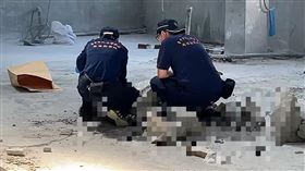 台中桶屍(圖/翻攝畫面)