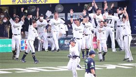 歐力士猛牛靠著吉田正尚的再見2分砲，擊敗養樂多將暫居扳平。（圖／翻攝自推特）