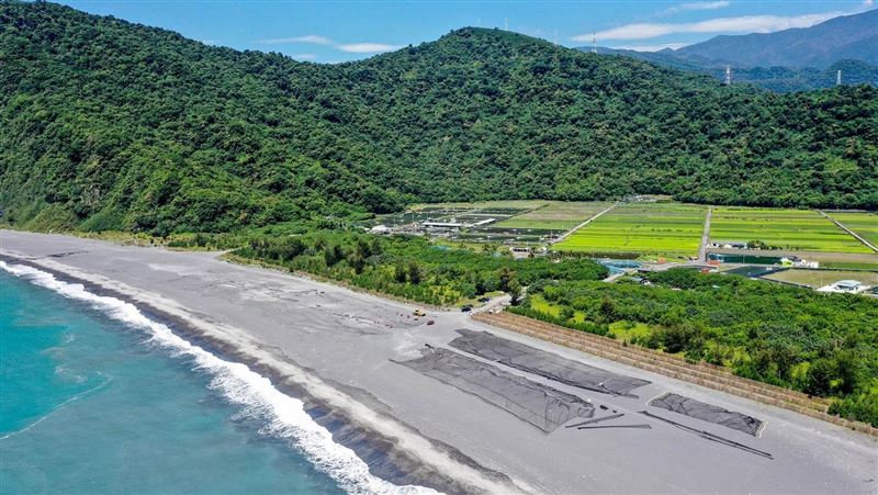 守護臺灣的綠色長城　發起公民森林計劃