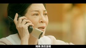 國際橋牌社提供