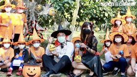 台南,萬聖節,黃偉哲,大白柚,麻豆,國小,維生素C