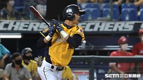 ▲中華職棒季後挑戰賽，中信兄弟外野手岳政華炸裂陽春砲。（圖／記者劉彥池攝影）