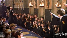 哈利波特,佛地魔,馬份,妙麗,片酬,臉書／Harry Potter