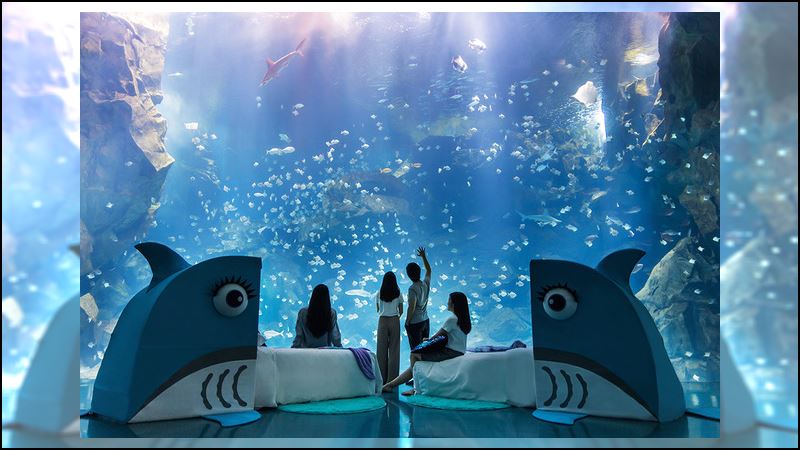 臺北國際旅展登場！Xpark推出海洋系眠旅