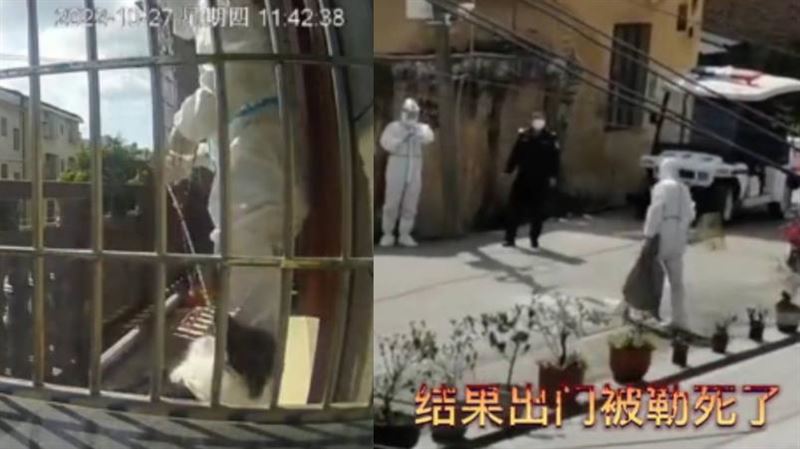 冷血！飼主在外隔離　家中愛犬遭勒死