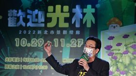 新北「歡迎光林」光影綠廊開展！植物結合光影打造城市燈廊
