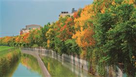 悠活台南（業配勿用）