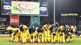 ▲中信兄弟2022年進軍台灣大賽。（圖／中信兄弟球團提供）