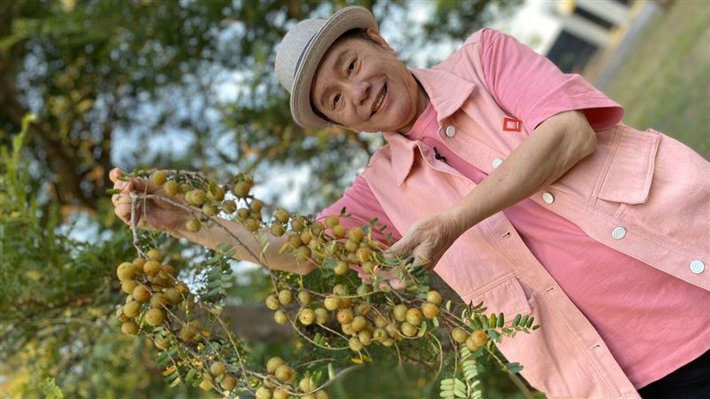 保持黑髮靠百年「五味果」超高維他命C