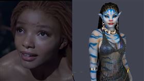 女星海莉貝莉Cosplay阿凡達。（圖／翻攝自Walt Disney Studios、hallebailey IG）