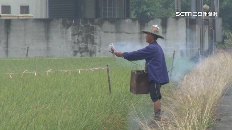 敲打還放炮！農夫驅鳥居民怨「不能補眠」