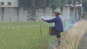 敲打還放炮！農夫驅鳥居民怨「不能補眠」