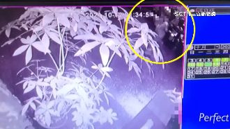 獨／只瞄一眼！婦人遭醉漢推飛1公尺骨折