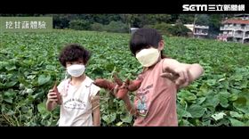 金山汪汪地瓜園，新北市政府(業配勿用)