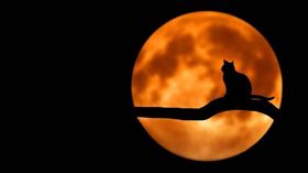 月亮。（圖／示意圖／翻攝自pixabay）