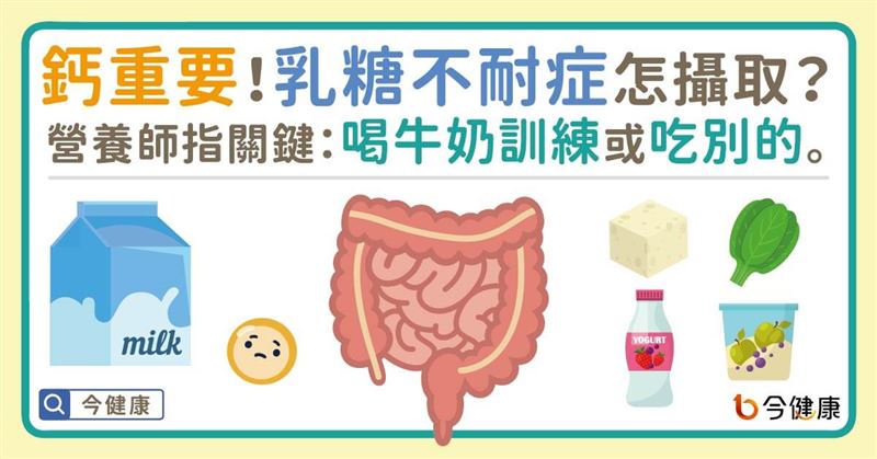 乳糖不耐症攝取鈣？營養師：以這方式攝取