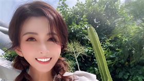 馮媛甄（翻攝臉書）