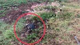 工人公園除草發現遺體  警封鎖現場調查台中市北屯區一處公園31日下午有工人在除草時發現1具女性遺體，警方獲報後封鎖現場調查，將報請檢察官相驗遺體以釐清死因。紅圈處為死者遺留的物品。（翻攝照片）中央社記者蘇木春傳真  111年10月31日