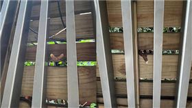 （圖／翻攝自爆料公社）