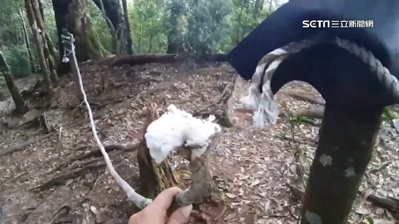 割引導繩害登山客摔斷手　警逮疑割繩男