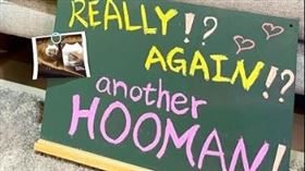 旅美棒球好手張育成育有1子，他今（2）日在臉書分享妻子懷孕的超音波照片，宣布家中明年將有新成員，並開心地寫下：「家裡又要更熱鬧囉。」