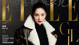 楊冪受訪坦承用了生髮液。（圖／翻攝自《ELLE》微博）