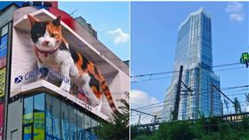 林氏璧今（3）天在臉書粉專「日本自助旅遊中毒者」發表長文「2022年底前去東京建議要做的九件事」。（圖／翻攝自日本自助旅遊中毒者）