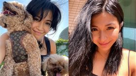 女星陳思圻從溫哥華華裔小姐選美出道。（圖／翻攝自vthechan IG）