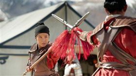 ▲花木蘭（圖／翻攝自百度百科）